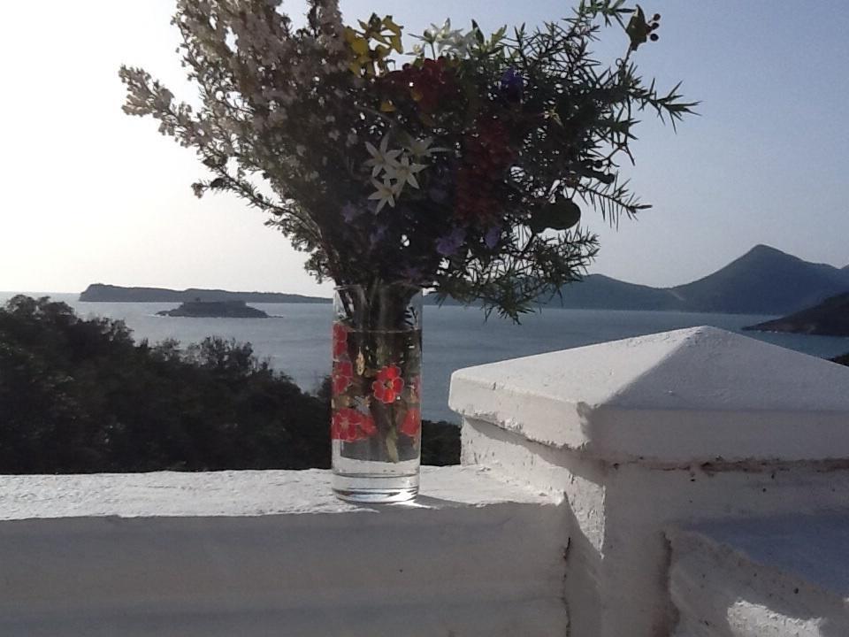 Villa Mirista Luštica Værelse billede