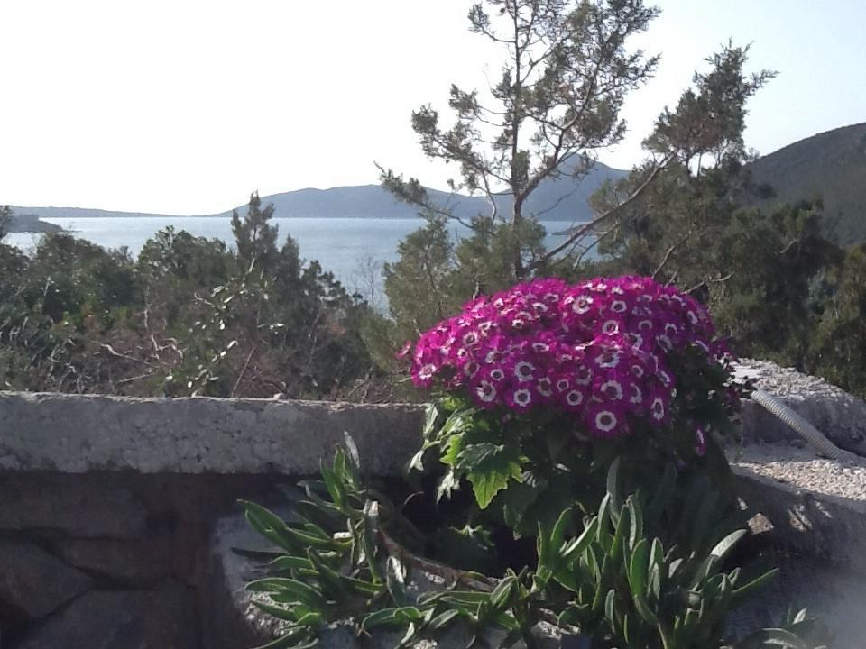 Villa Mirista Luštica Værelse billede